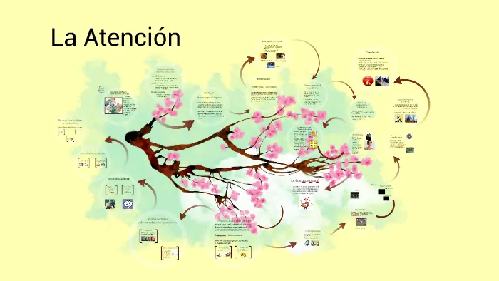 proceso de atencion en psicologia - Qué significa en proceso de atencion