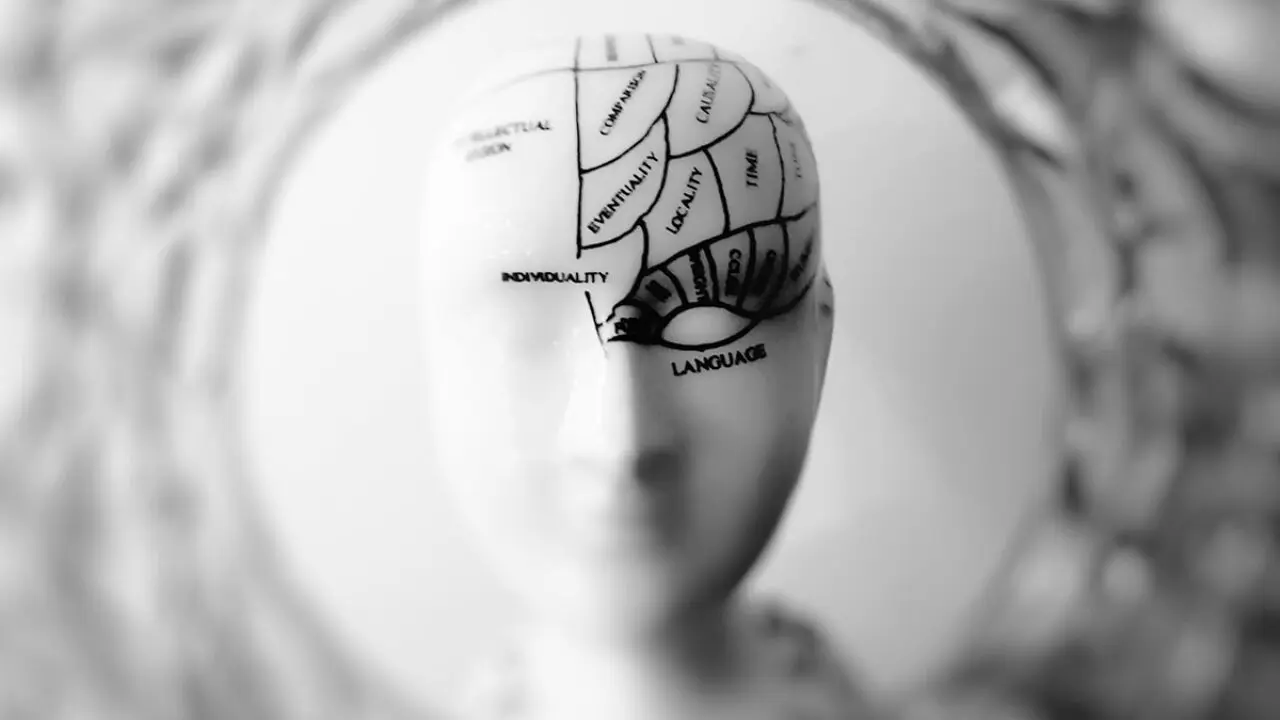 La Psicología como Ciencia Fáctica - Qué significa que la ciencia sea Factica psicologia como ciencia factica - Qué significa que la ciencia sea Factica