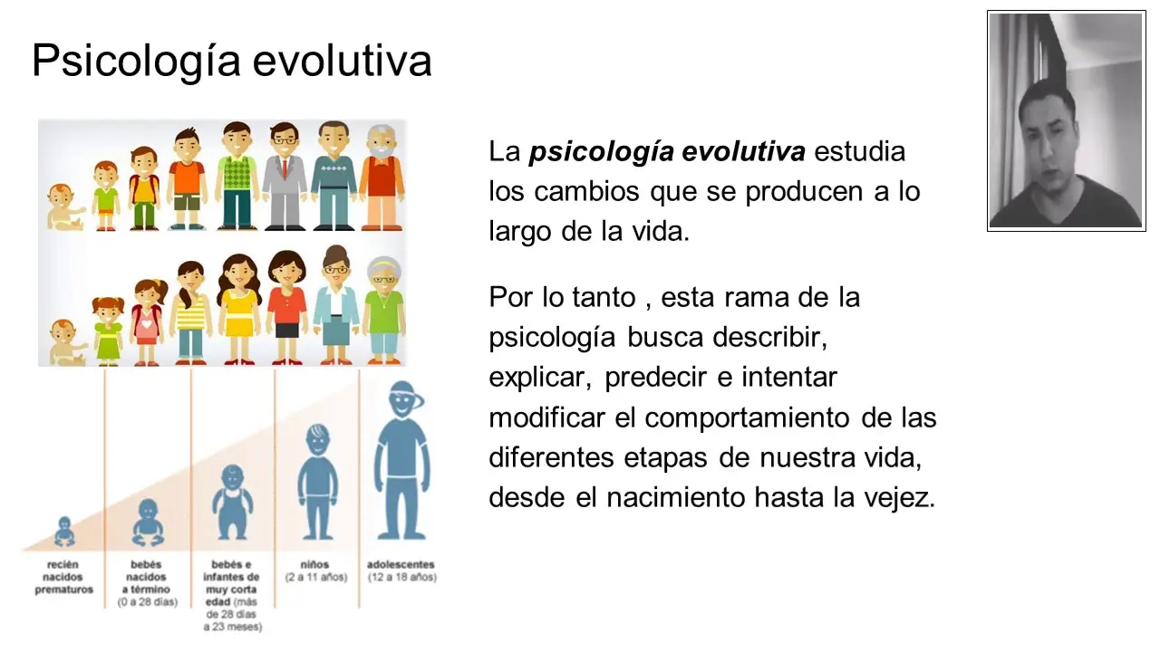 psicologia evolutiva etapas del desarrollo - Qué son las etapas del desarrollo evolutivo