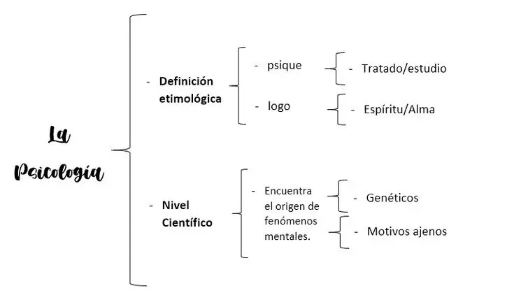 esquemas psicologia - Qué son los esquemas en psicologia