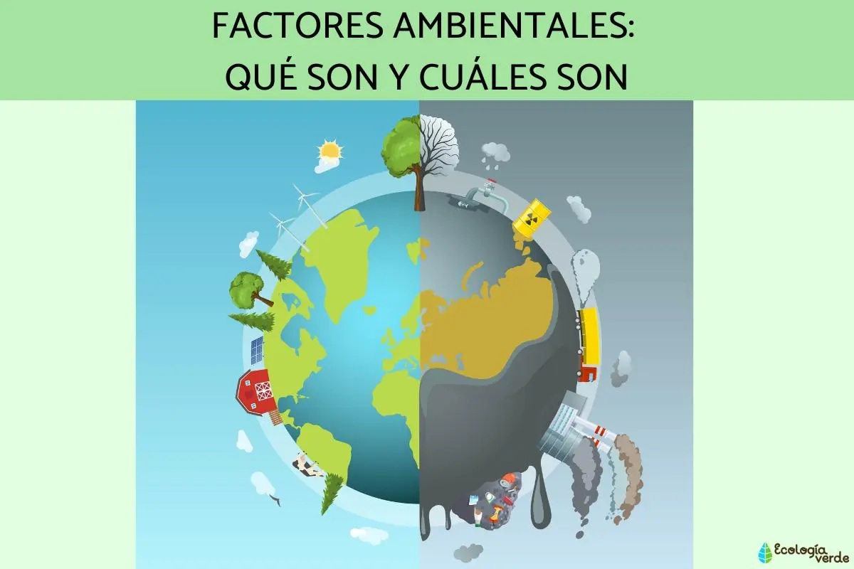 Factores ambientales en psicología: una influencia determinante en el desarrollo humano - Qué son los factores ambientales de una persona que son los factores ambientales en psicologia - Qué son los factores ambientales de una persona