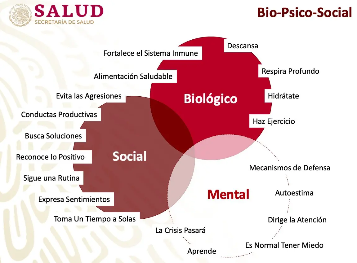 esfera biologica psicologica y social - Qué son los factores biológicos psicológicos y sociales