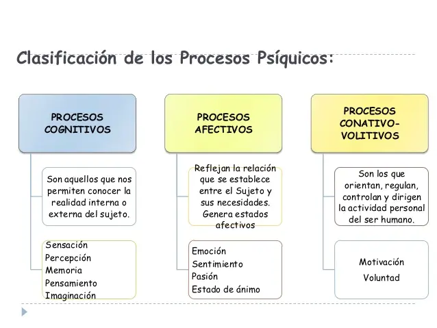 procesos psicologicos superiores e inferiores - Qué son los procesos psicológicos inferiores y superiores