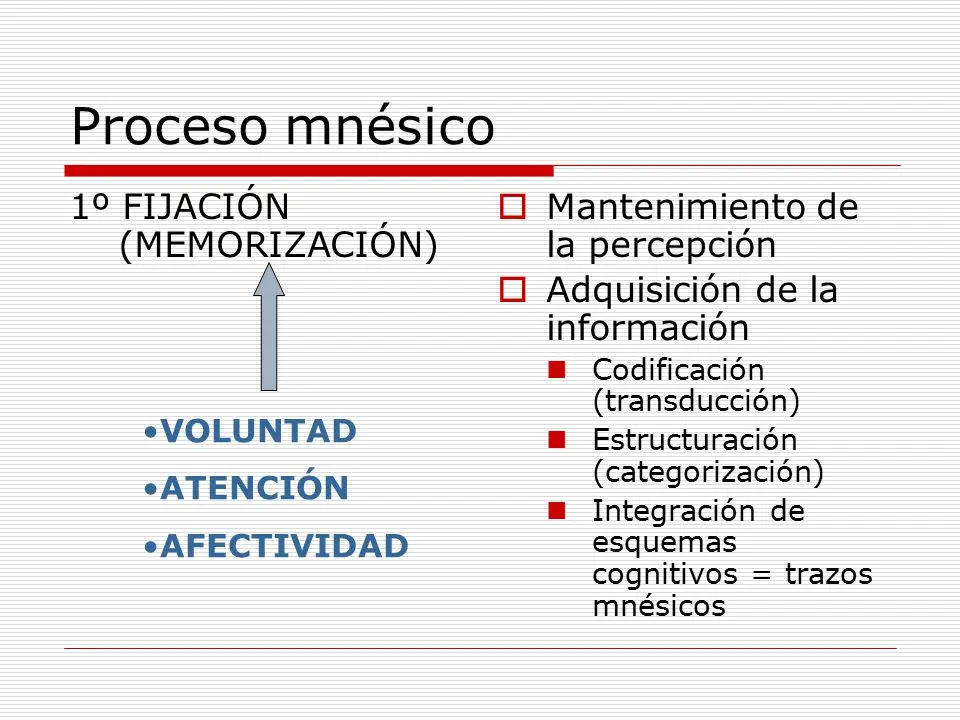 procesos mnésicos psicología - Qué son los trastornos Mnesicos