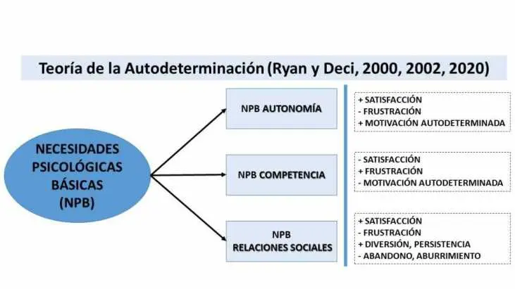 que es una necesidad psicologica - Qué son necesidades mentales