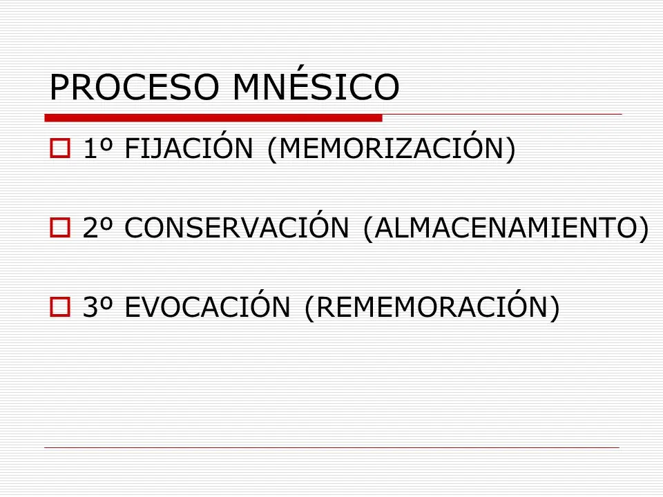 procesos mnésicos psicología - Qué son quejas mnésicas