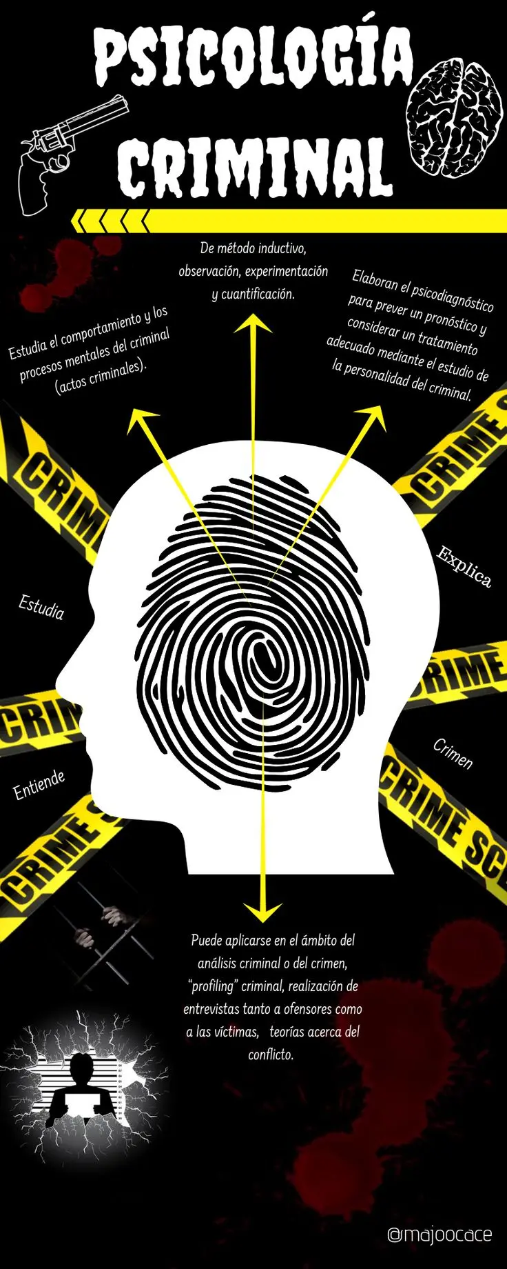 temas de psicologia criminal - Qué temas se pueden investigar en criminalística