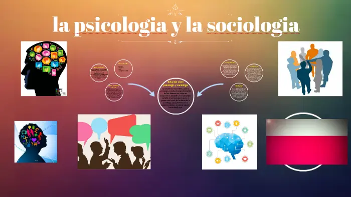 Relación Sociología Y Psicología Interacción Y Comportamiento Colegio De Psicólogos Sj 5129