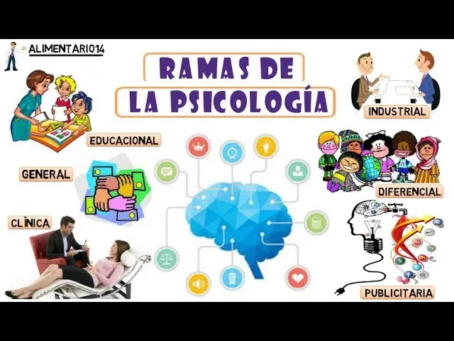 cuales son las ramas de la psicologia educativa - Qué tipos de Psicologia educativa hay