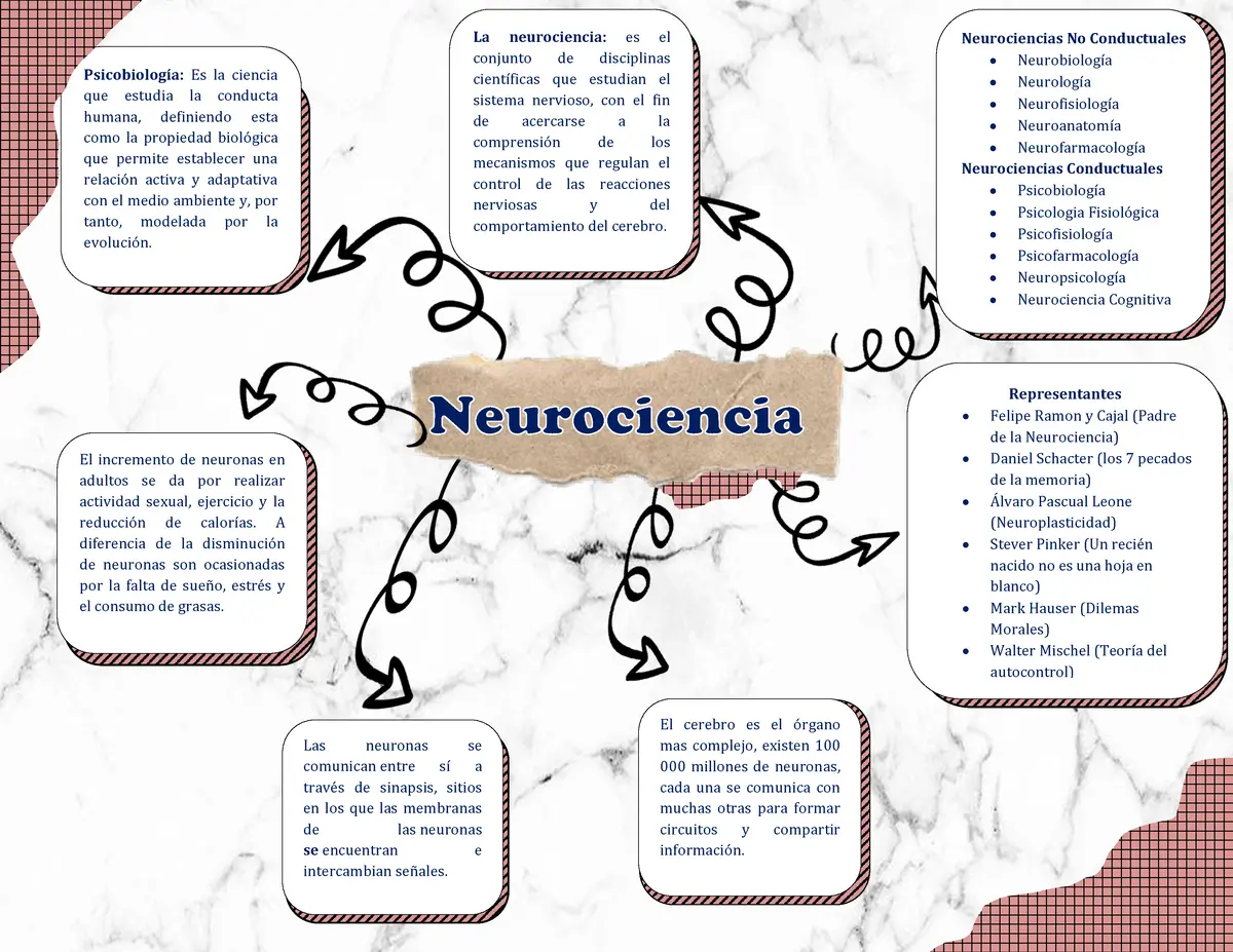 neurociencia psicologia representantes - Quién es el padre de la neurociencia